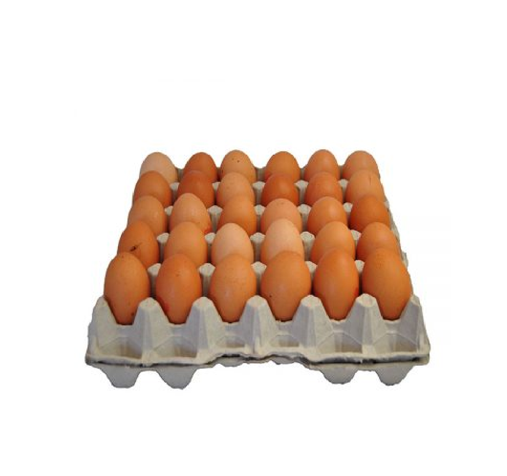 Plateau d'oeufs 30pcs