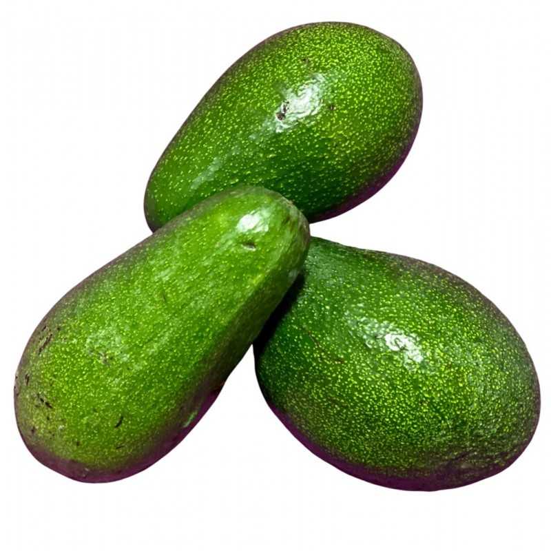 Avocat – pièce