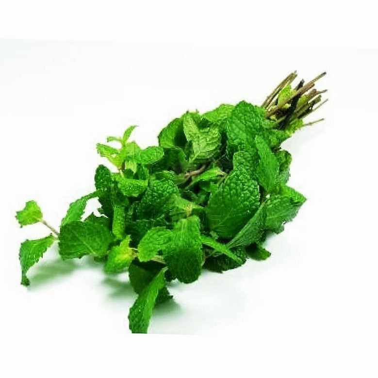 Menthe – bouquet de 25 grammes