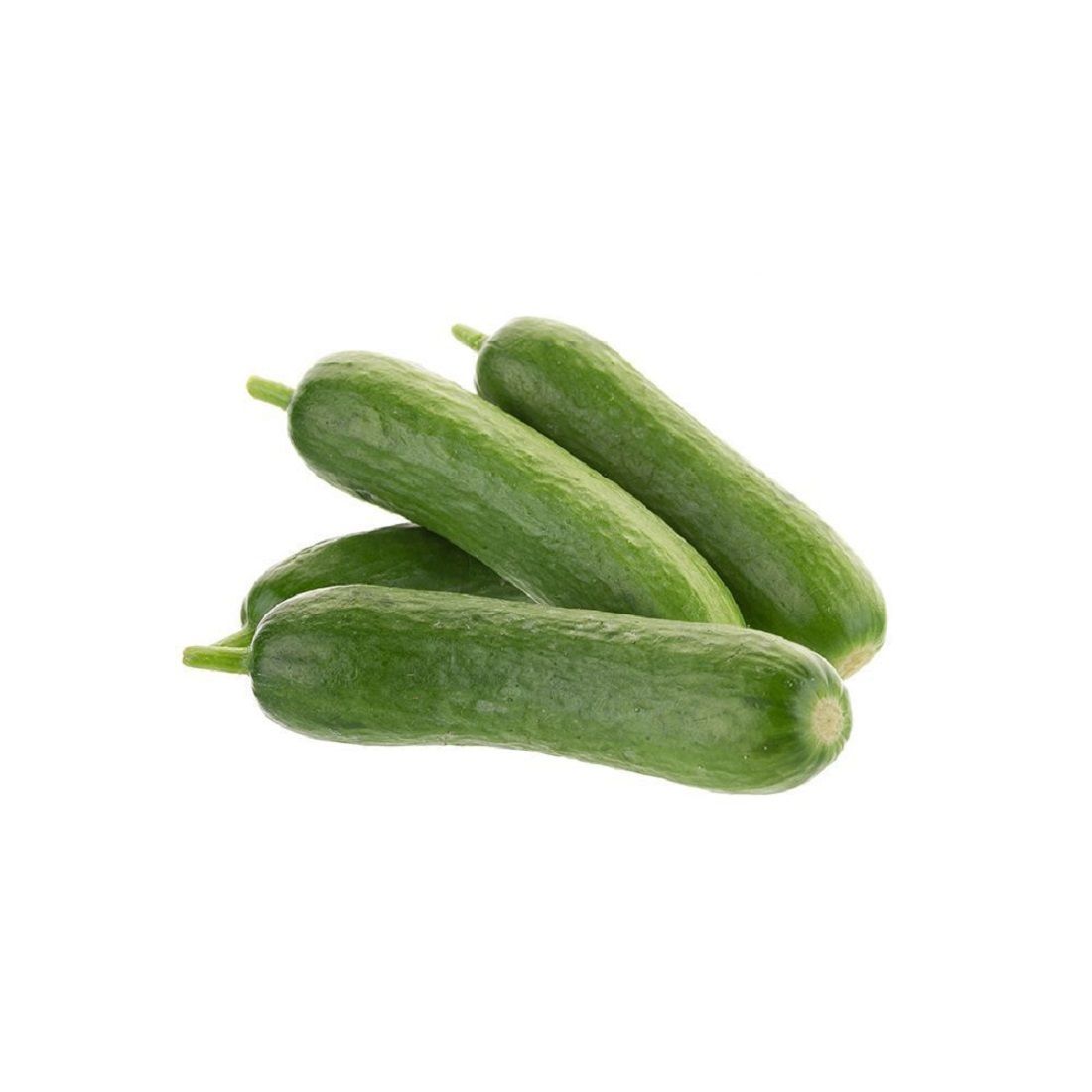 Mini Concombre/Cornichon – kilo