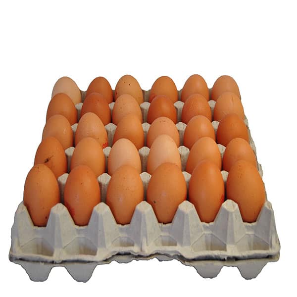 Plateau d'oeufs 30pcs