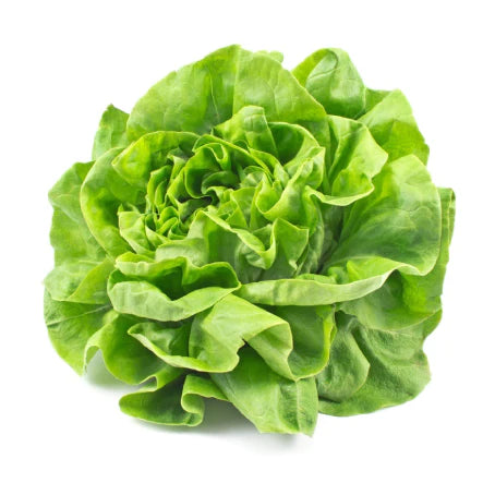 Laitue Verte Locale – 240gr