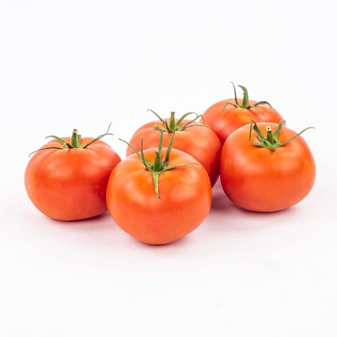 Tomates Fraîches – kg