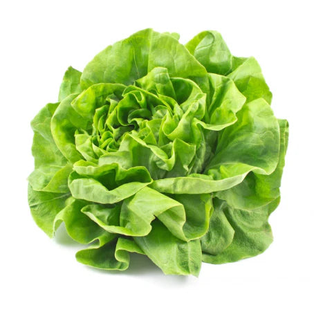 Laitue Verte Locale – 240gr