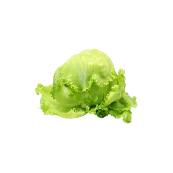 Salade Iceberg – Pièce