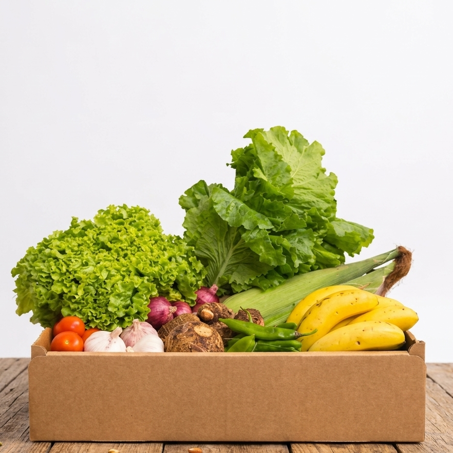 Box LEGUMES FAMILLE