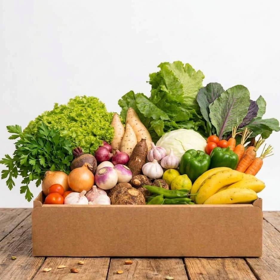 Box LEGUMES FAMILLE