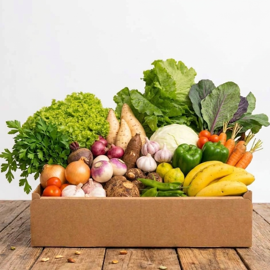 Box LEGUMES DUO