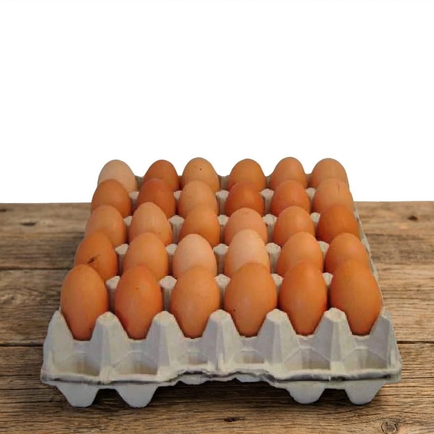 Plateau d'oeufs  30pcs
