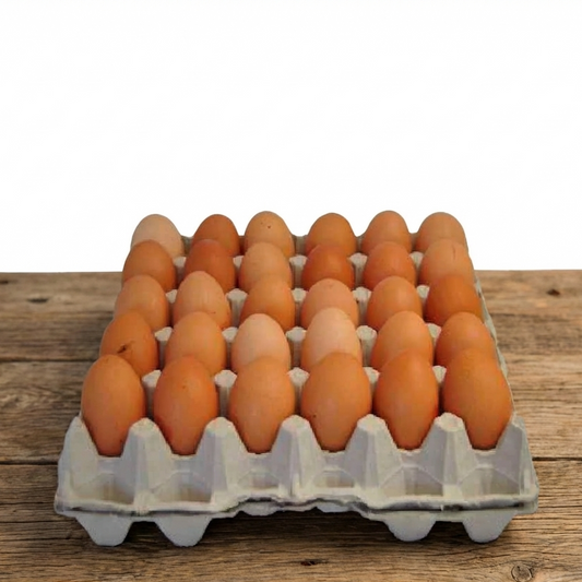 Plateau d'oeufs  30pcs